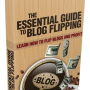 Essential Guide To Blog Flipping